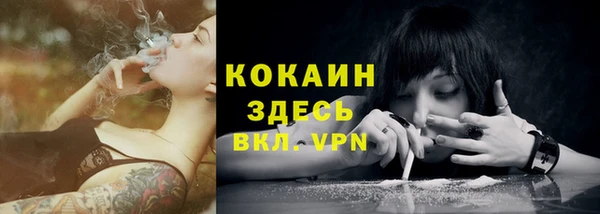 крисы Армянск