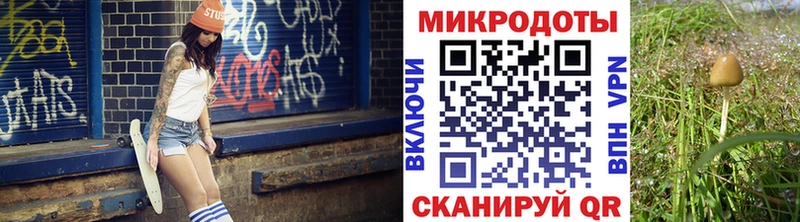 Галлюциногенные грибы Cubensis  Калязин 
